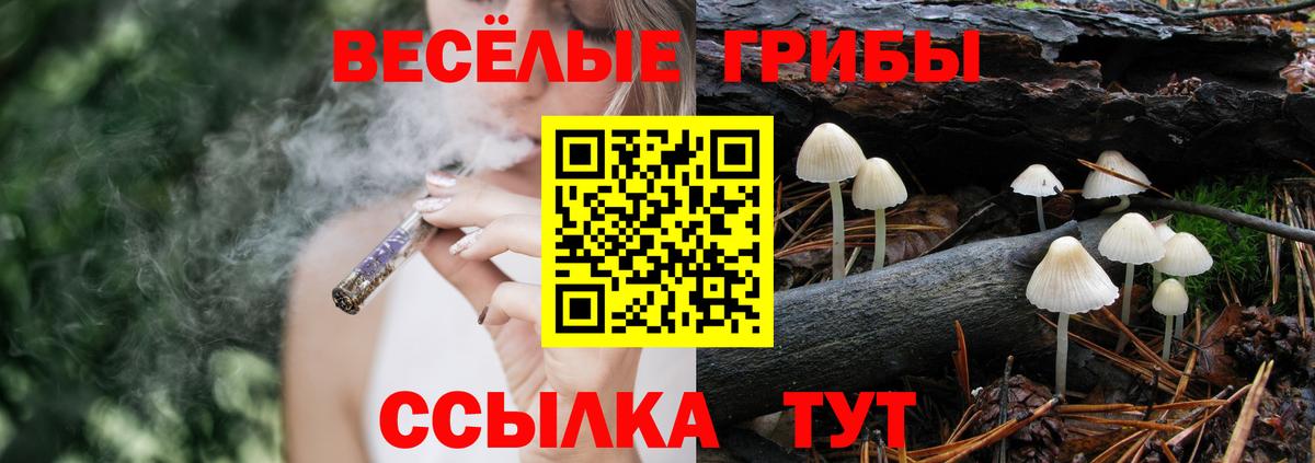 Меф МЯУ МЯУ кристаллы  Вход с VPN  МЕТ  Купить наркотик  Гашиш  Конопля  Орск  MDMA 
