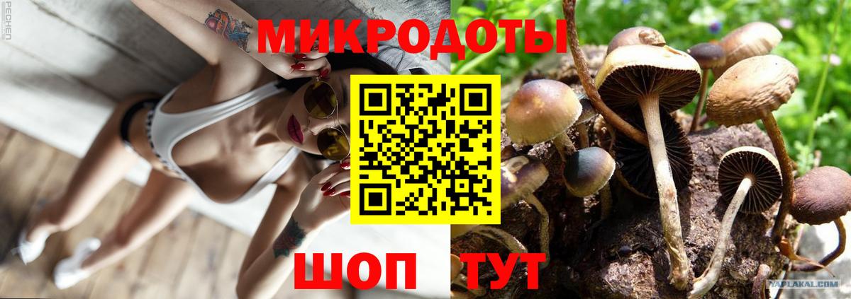 Галлюциногенные грибы мицелий Орск